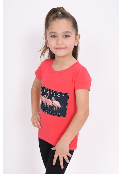 Toontoy Kids Toontoy Kız Çocuk Flamingo Baskılı Tişört Nar Çiçeği