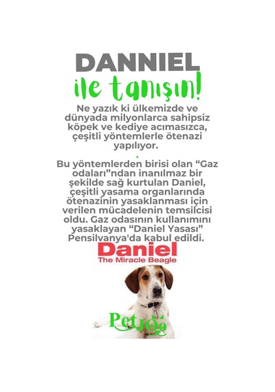 Petjoo 21.Danniel Yeşil-Gri Qr'lı Köpek Künyesi