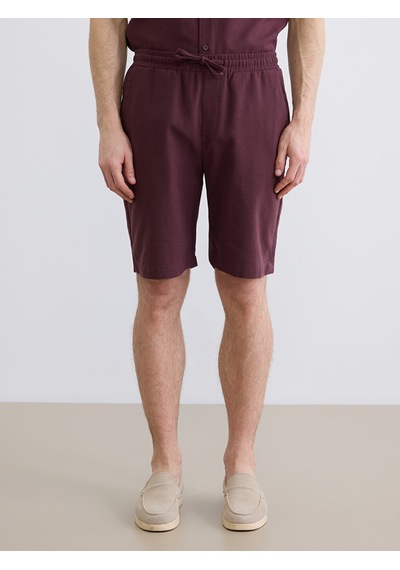 Lcw Vision Mürdüm Regular Fit Erkek Şort