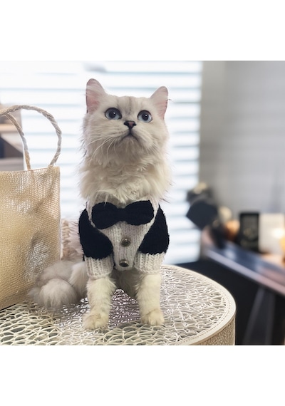 Kedi Ve Köpek İçin Smokin Kazak