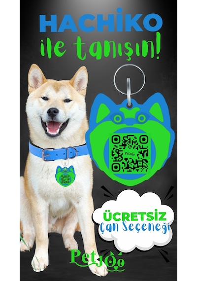 Petjoo 19.Hachiko Yeşil-Mavi Qr'lı Köpek Künyesi