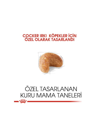 Royal Canin Cocker Spaniel Yetişkin Köpek Maması 3 KG
