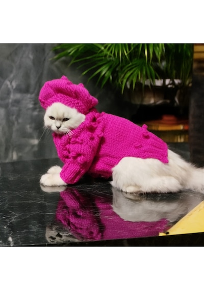Kedi Ve Köpek İçin Ressam Şapkalı Ve Bonbonlu Fuşya Hırka