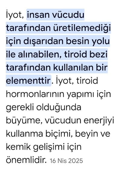 Natur'el İyot Damlası 100 ML
