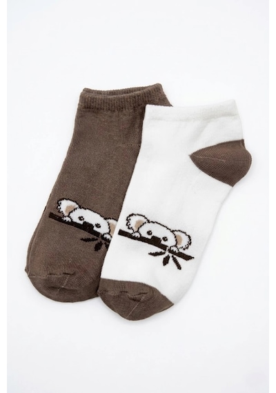 Cocole Socks Çocuk Patik Çorabı 2 Li Set Pamuklu Ekru & Kahverengi Koala Desenli Çok Renkli