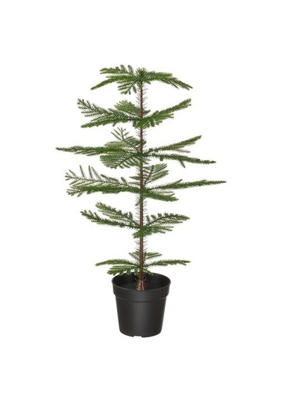 Ikea Fejka Yapay Bitki, Yeşil, 15 Cm, İç/dış Mekan Norfolk Adası Çamı