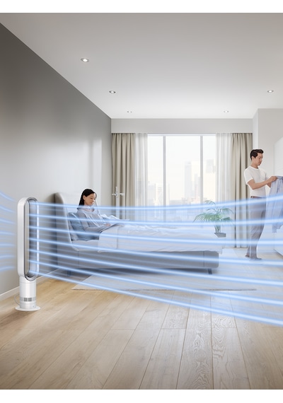 Dyson AM07 Cool Fan Beyaz - Gümüş