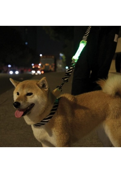 M-pets Flash Led Band Green