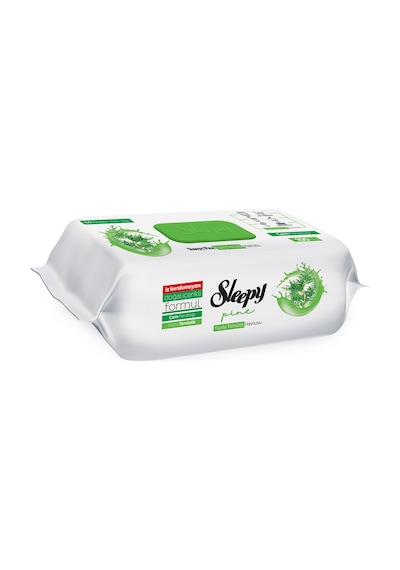 Sleepy Yüzey Temizlik Havlusu Çam Ferahlığı 100'lü 3 Adet