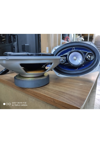 Edison 800W Stereo Hoparlör