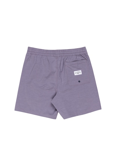 Bıllabong Billabong Every Other Day Lb Erkek Volley Short Lvn Mor