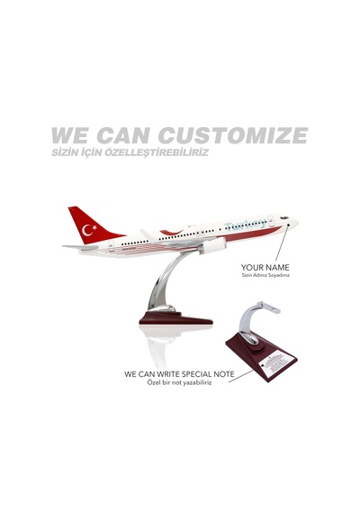 Zekupp - Maket Uçak - Boeing 737-800 1/100 - TÜRKİYE ÖZEL TASARIMLI Model Uçak,  Model D