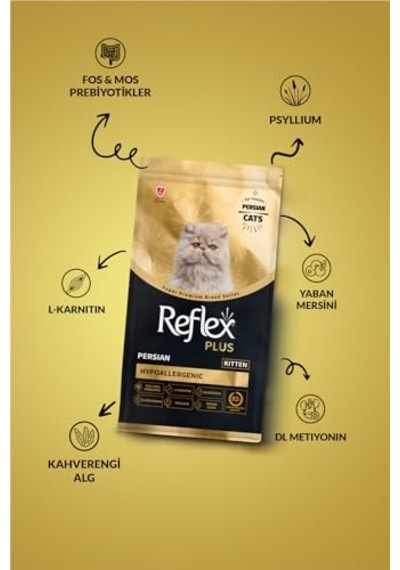 2As Plus Persian Yavru Kedi Si 1.5 Kg 12 Gri