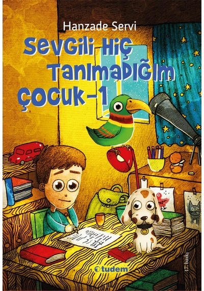 Sevgili Hiç Tanımadığım Çocuk Tudem Yayınları