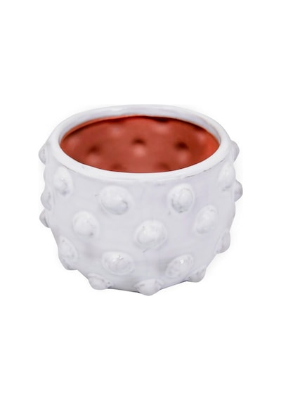 Noktalı Terracotta Saksı & Vazo Çok Renkli