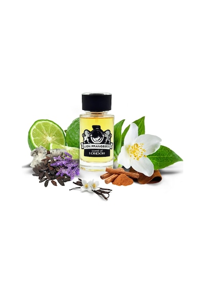 Lion Francesco Scent Of London Erkek Parfüm EDP 50 ML