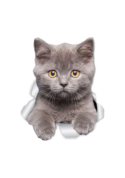 Kırık Cam Efekti Kedi Araba Oto Sticker Etiket Z7