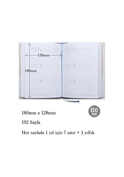 Apica B6 3 Yıllık Günlük Bej D308