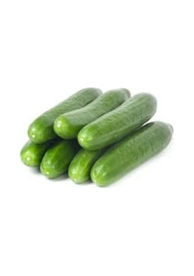 Paket 50 Tohum İthal Sırık Salatalık Tohumu +