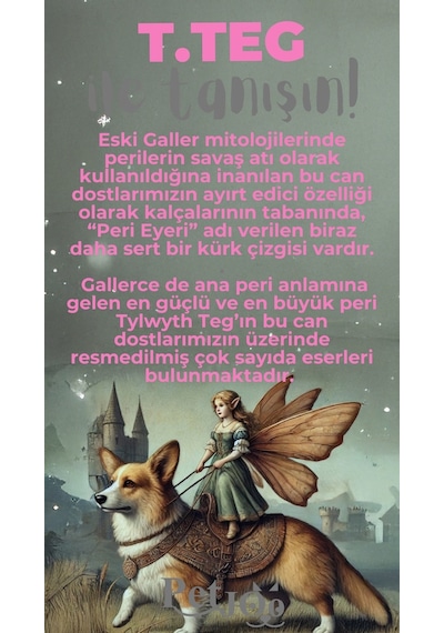 Petjoo 15.T.Teg Gri-Pembe Qr'lı Köpek Künyesi