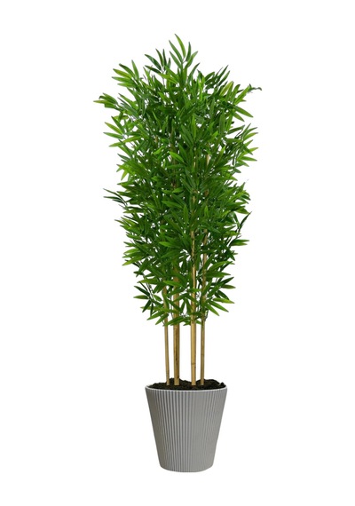 Yapay Bambu Ağaç 200 Cm 6 Dallı Yogun Yaprak Luna Beyaz Saksı Yeşil