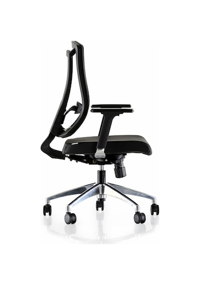 Dekofis Goldsit Ergonomik Çalışma Koltuğu Dekofis Goldsit Ergonomik Çalışma Koltuğu