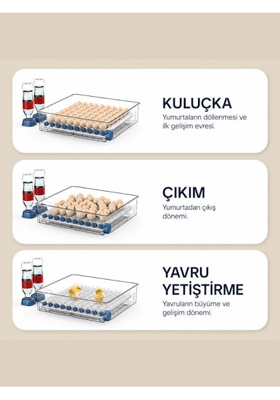 24 Lü Dijital Otomatik Yumurta Kuluçka Makinesi Tavuk, Bıldırcın, Ördek İçin