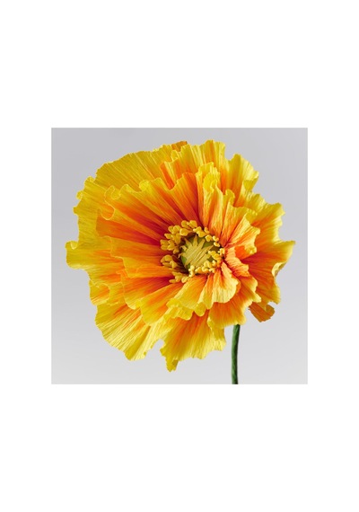 Yapay Çiçek, Turuncu, 40 Cm, Gelincik