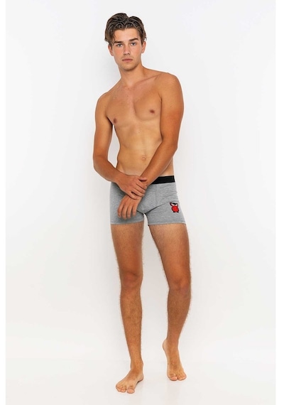 Redowl Baykuş Baskılı Gri 2'Li Boxer Gri