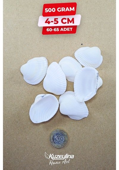 Doğal Deniz Kabuğu 500 Gram Büyük Boy 4-5 Cm