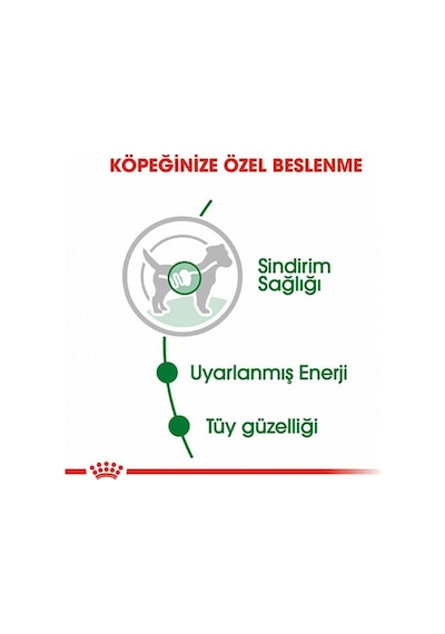 Mini Adult Pouch Yetişkin Köpek Konservesi 12 Adet 85 Gr