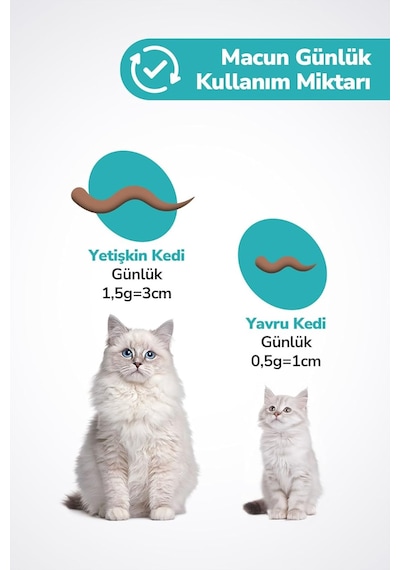Kedi Tüy Yumağı Önleyici Malt Kedi Tüyü Döküm Dökülmesi Önleyici Engelleyici Kedi Maltı - 100 Gr