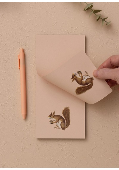 The Mia Art Line Mini Notluk Squirrel 10 X 21 Cm 40 Yaprak