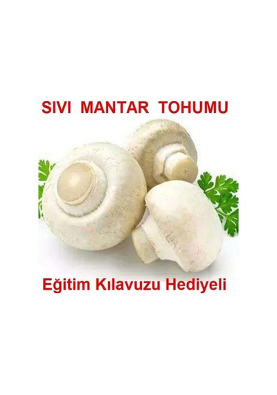 100 Ml Beyaz Şapkalı Kültür Mantarı Miseli Mantar Tohumu