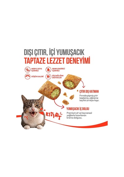Kedi Crunch Ödül Catnipli & Tavuklu 60g