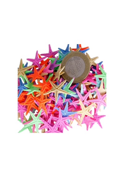 Polyester Deniz Yıldızı Minik Boy 0.5 Cm- 1.5 Cm 100 Adet Kar