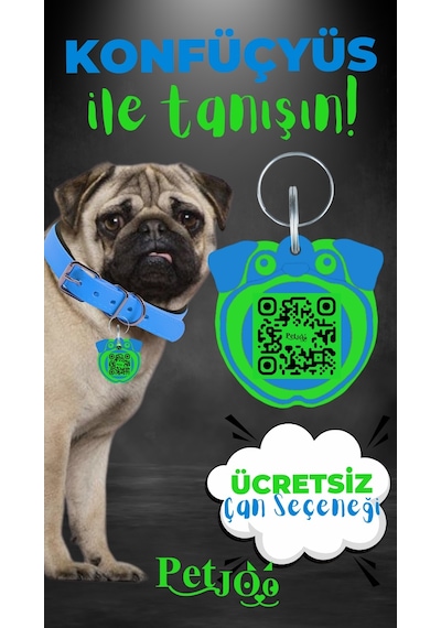 Petjoo 9.Konfüçyüs Yeşil-Mavi Qr'lı Köpek Künyesi