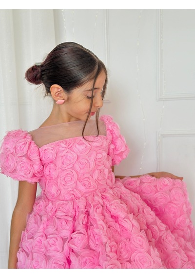 H L Y Karol Tasarım Pembe Güllü Diana Vintage Kız Bebek Elbise,doğum Günü Elbise,fotoğraf Çekim Elbise,0-12 Yaş Uygun Pembe