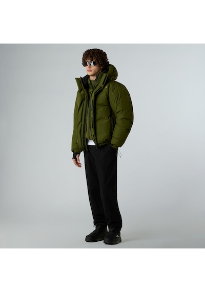 The North Face Unisex Rmst Gore-tex Himalayan Tek Kaz Tüyü Mont Nf0a8cg5brı1 Çok Renkli