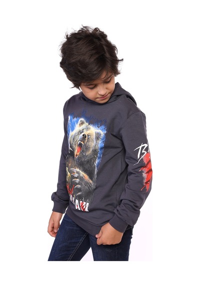 Toontoy Kids Toontoy Erkek Çocuk Aslan Ve Blood Clan Baskılı Sweatshirt Füme