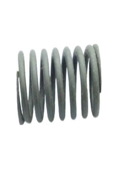 Svnmotor Cg Model Sibop Yayı Iç (500192996)
