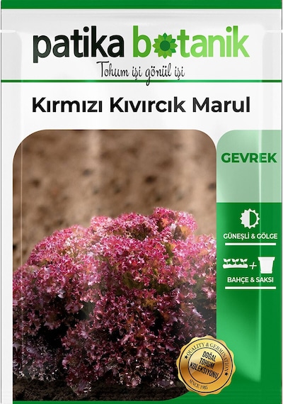 500 Adet  Yerli Ata Kırmızı Kıvırcık Marul Tohumu