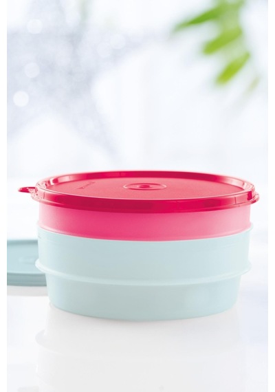 Tupperware Modüler Buzdolabı Kapları 2'Li Set 500 Ml 7691490208823 Çok Renkli