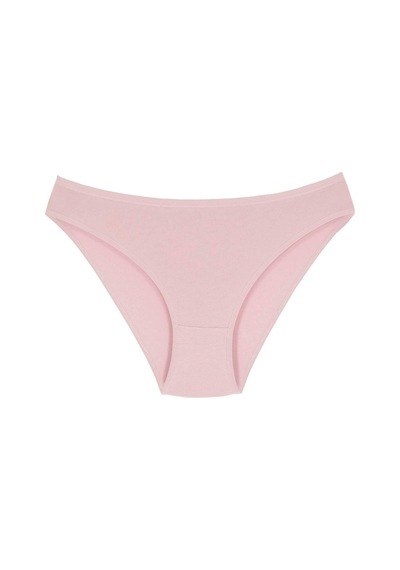 1001 Kadın 5'lı Günlük Slip Külot V19-Pembe-Lila-Somon-Mint-Vizon Çok Renkli