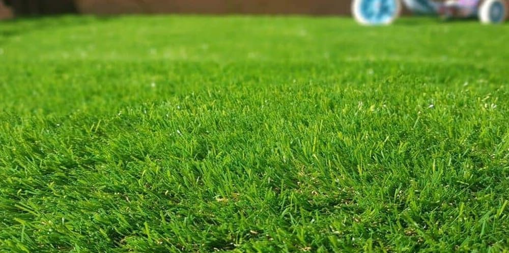 40 Mm Rulo Çim Halı - Genişlik 2 Metre Diğer