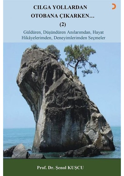Cılga Yollardan Otobana Çıkarken 2 / Şenol Kuşcu