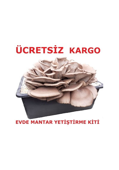 Kavak Mantarı Tohumu Ve Kavak Mantarı Kompostu Ekili Kutu N115456