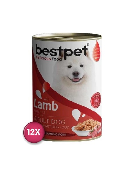Bestpet Jöle İçinde Parça Kuzu Etli Konserve Yetişkin Köpek Maması 400 Gr X 12 Adet