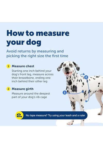 Gentle Dog Boyun Tasması Xs Blue
