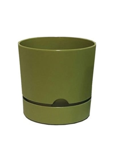 Polıwork Saksı Begonya 18 Cm Yosun Yeşili